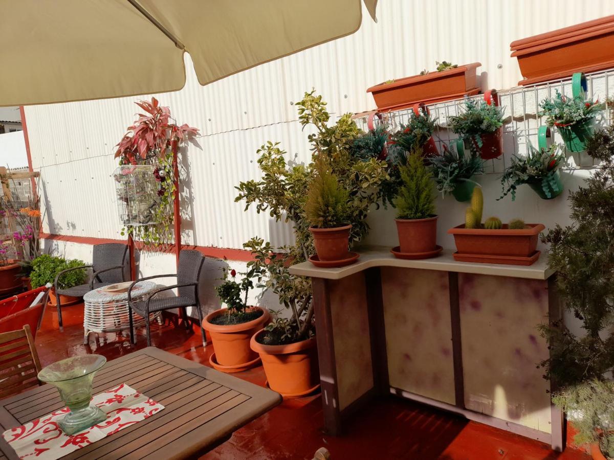 La Terraza Apartment Vinarós Exterior photo